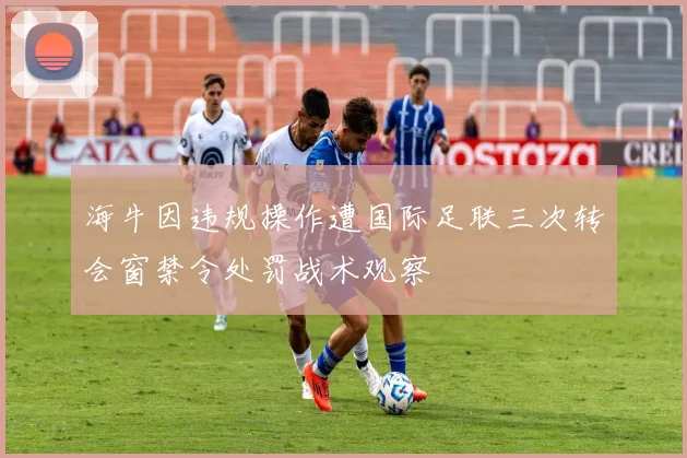海牛因违规操作遭国际足联三次转会窗禁令处罚战术观察