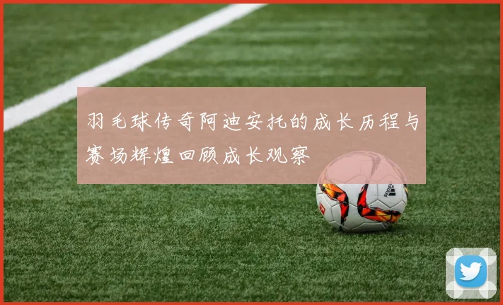 羽毛球传奇阿迪安托的成长历程与赛场辉煌回顾成长观察