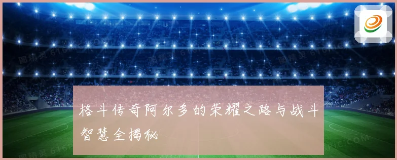 格斗传奇阿尔多的荣耀之路与战斗智慧全揭秘
