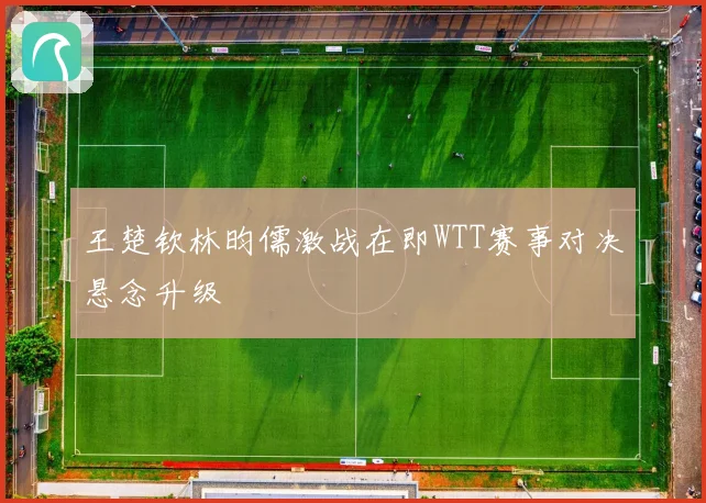 王楚钦林昀儒激战在即WTT赛事对决悬念升级