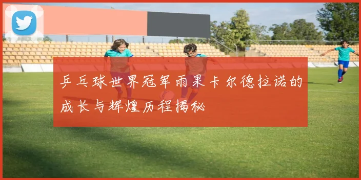 乒乓球世界冠军雨果卡尔德拉诺的成长与辉煌历程揭秘