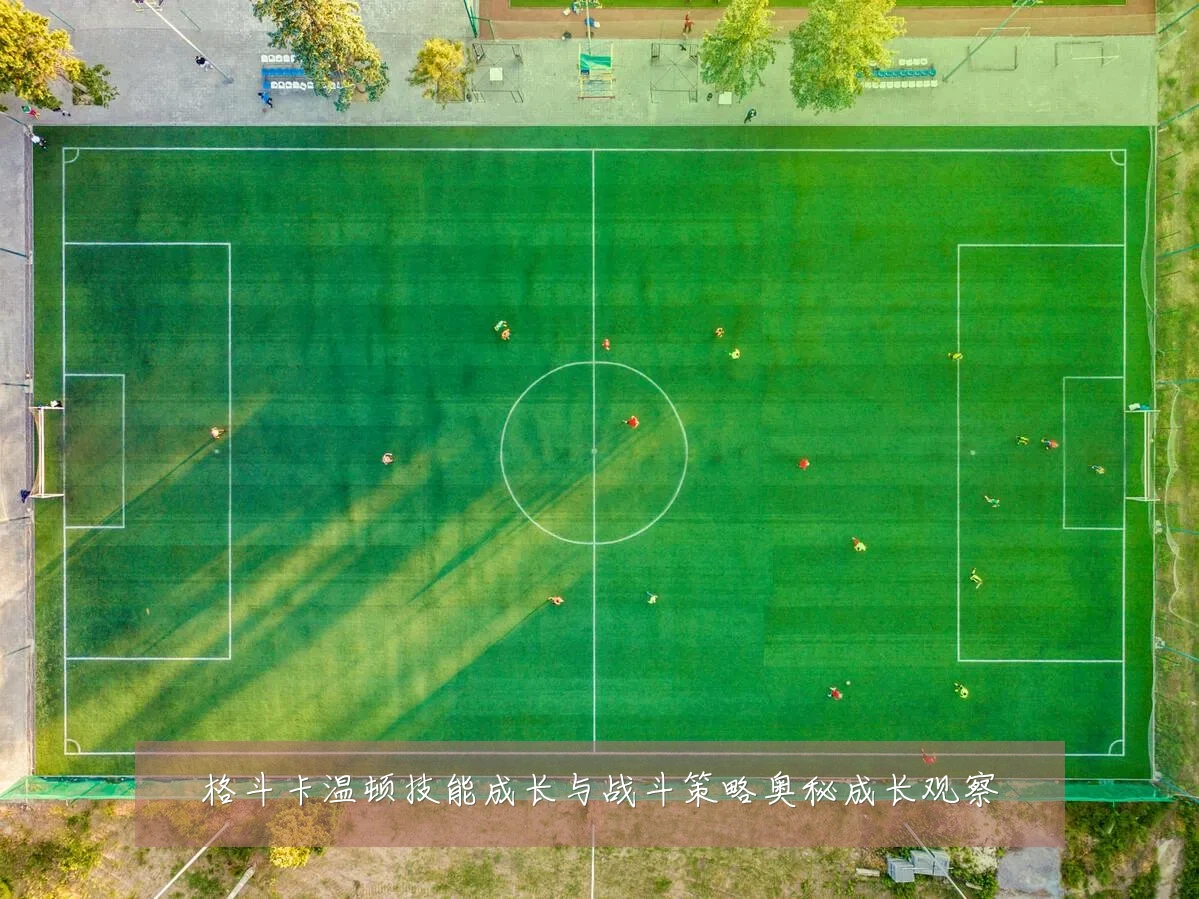 格斗卡温顿技能成长与战斗策略奥秘成长观察
