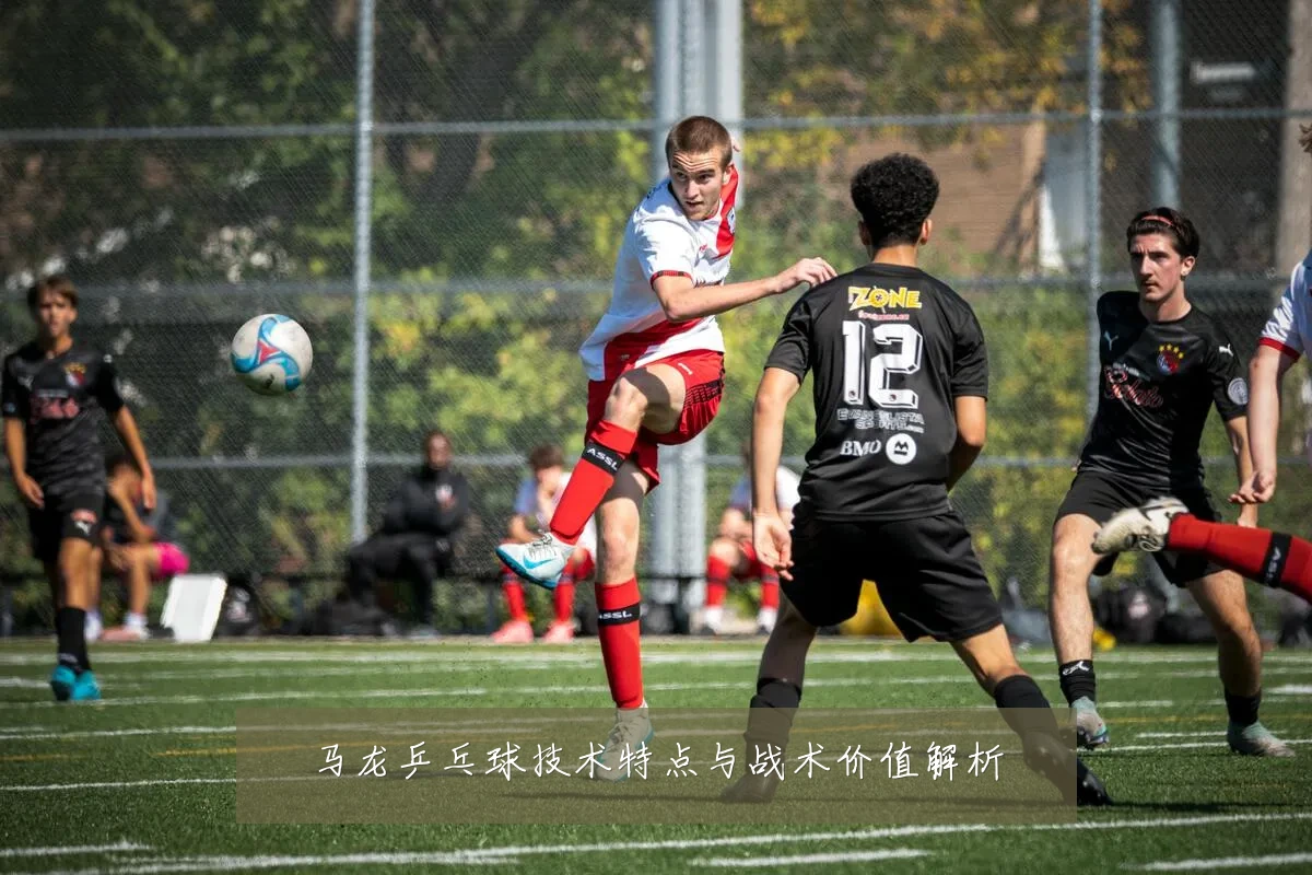 马龙乒乓球技术特点与战术价值解析